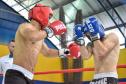 Paraná Combate reúne mais de 2,2 mil atletas de lutas em Cascavel