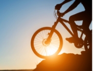 Jogos de Aventura e Natureza - Mountain Bike