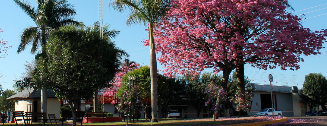 São José das Palmeiras