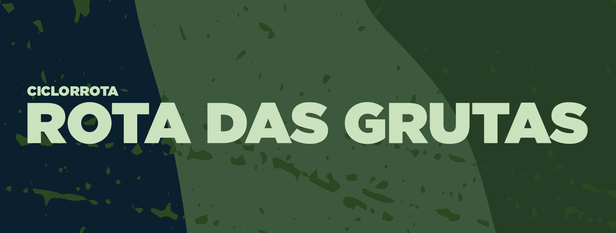 Banner Palotina