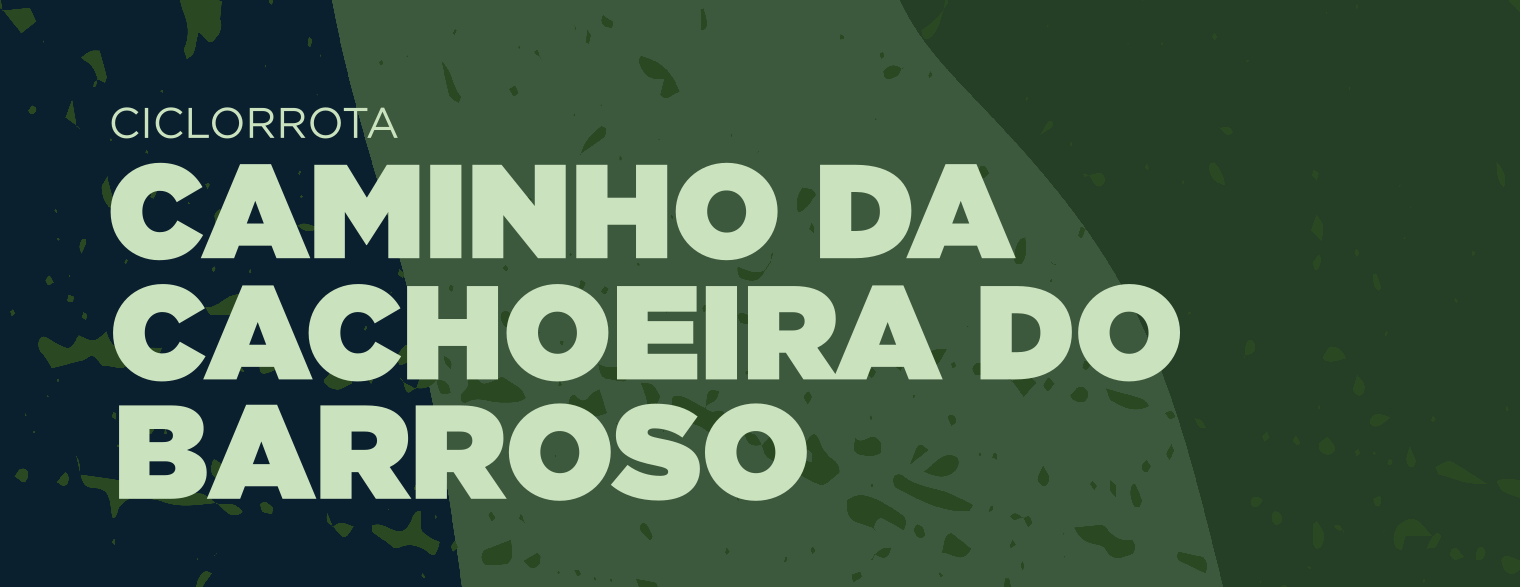 Banner Ortigueira
