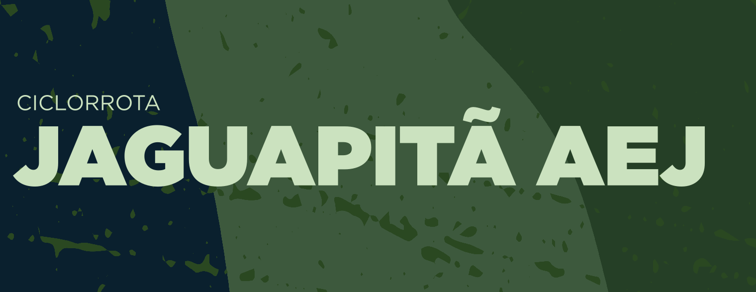 Banner Jaguapitã