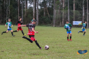 Fim de semana do esporte paranaense 