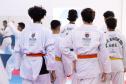 Fim de semana no esporte: Seminário de Taekwondo Poomsae