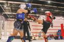 Foram disputadas dez modalidades: boxe, capoeira, jiu-jitsu, judô, karatê, kickboxing, kung fu, muay thai, taekwondo e wrestling