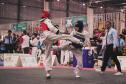 Foram disputadas dez modalidades: boxe, capoeira, jiu-jitsu, judô, karatê, kickboxing, kung fu, muay thai, taekwondo e wrestling