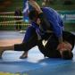 Paraná Combate 2024 vai reunir mais de 2 mil participantes em Pato Branco