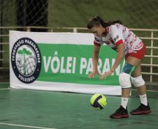 Federação Paranaense de Vôlei