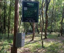CAMINHOS DO PEABIRU