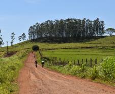 foto mostra ciclistas na ciclorrota de mandaguari