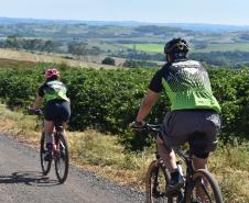 ciclistas pedalando na Rota Marialva I