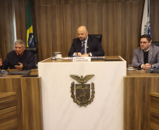 Os principais programas e ações desenvolvidos pela Secretaria do Esporte do Paraná foram apresentados pelo secretário Helio Wirbiski na  2ª Reunião Ordinária da Comissão de Esportes