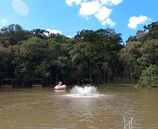 Ciclorrota Caminho das Sete Porteiras Bocaiúva do Sul