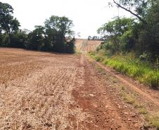 Ciclorrota Cidade dos Pássaros em Arapongas