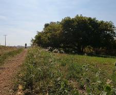 Ciclorrota Cidade dos Pássaros em Arapongas