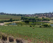 Pedalandirá