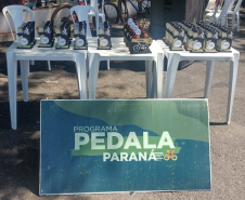 Pedalandirá