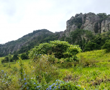 Ciclorrota Tibagi