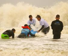 Surf e vôlei sentado