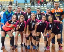 Arapoti Handebol