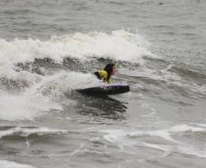 Bodyboarding