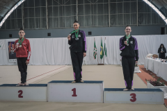 Campeonato Paranaense de Ginástica