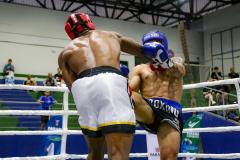 Paraná Combate 2024 vai reunir mais de 2 mil participantes em Pato Branco