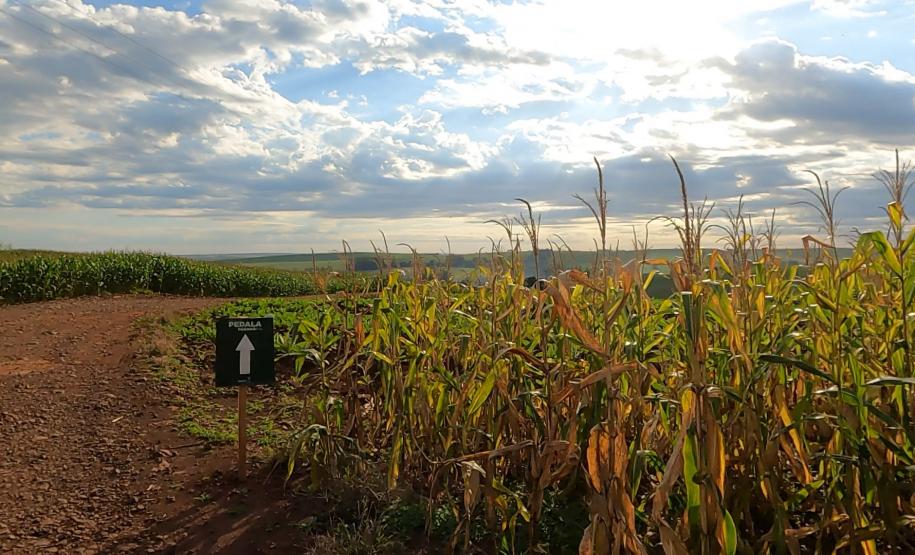 Ciclorrota Recanto do Apertado em Formosa do Oeste