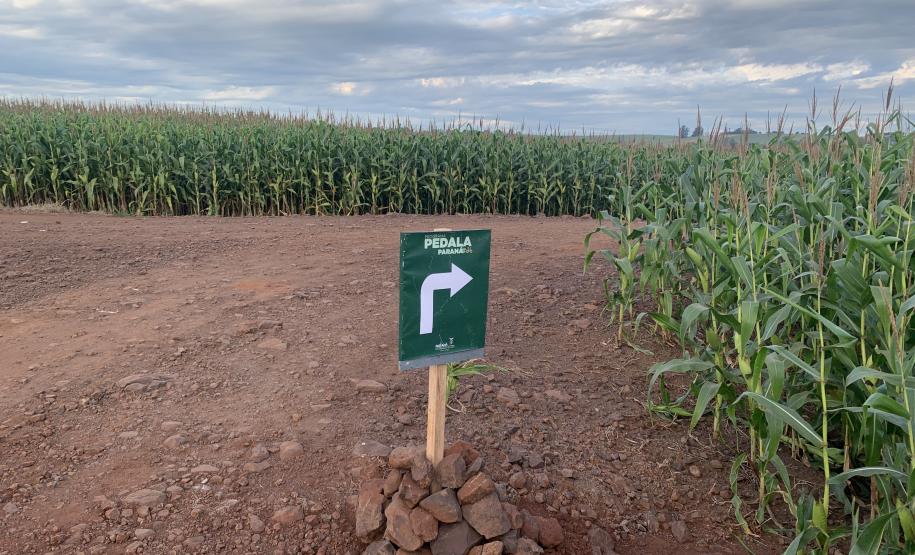 Ciclorrota Recanto do Apertado em Formosa do Oeste