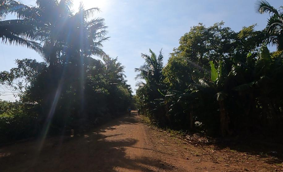 Ciclorrota Cidade dos Pássaros em Arapongas