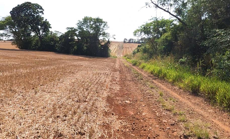 Ciclorrota Cidade dos Pássaros em Arapongas