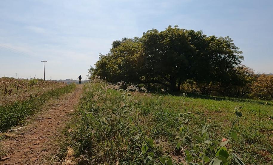 Ciclorrota Cidade dos Pássaros em Arapongas