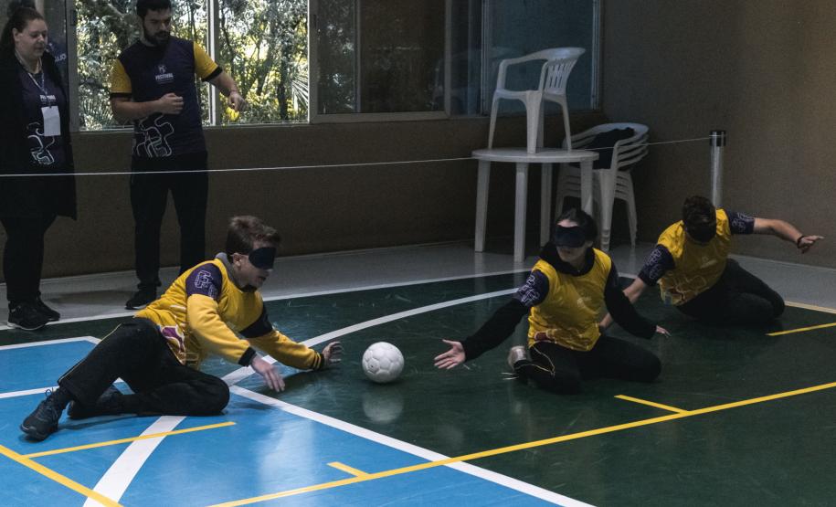 Em ginásios do Estado, Festival Paralímpico ofertará atividades para crianças neste sábado