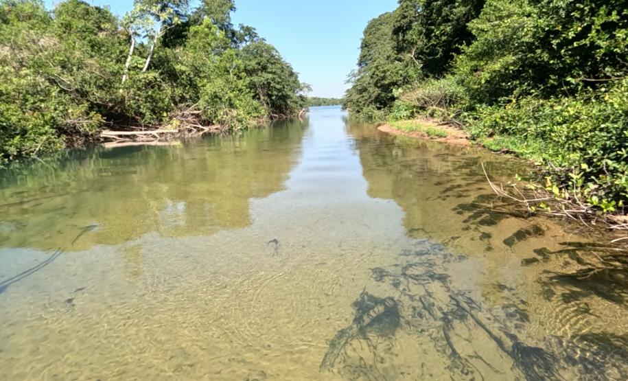 Ciclorrota Querência