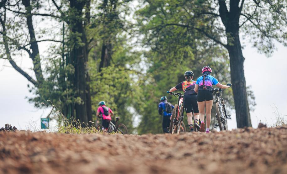 Ciclorrota Rolândia