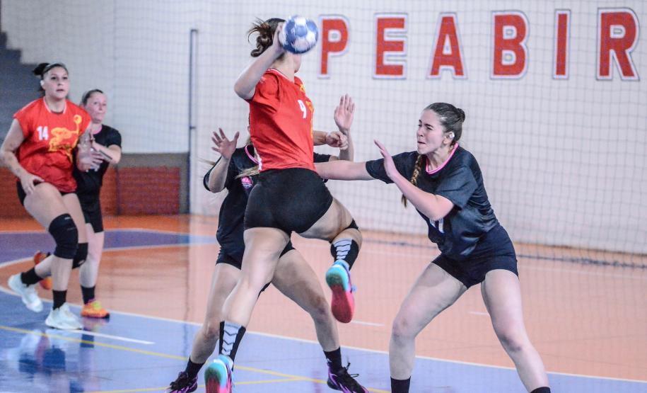 Os atletas competiram em modalidades como atletismo, badminton, bocha, bolão, ciclismo, ginástica rítmica, handebol de praia, natação, rugby, tênis, tênis de mesa e xadrez